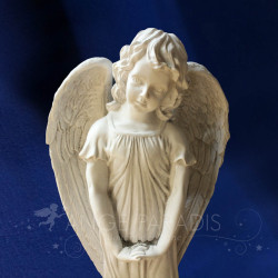 Ángel Stele