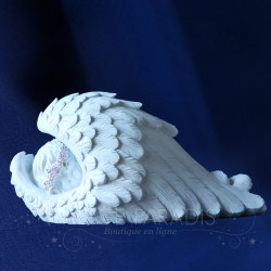 gran modelo de ángel externo