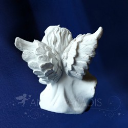 ángeles blancos