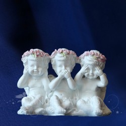 QUERUBÍS DE SABIDURÍA ROSA