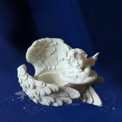 BOITE ANGE A SECRET PLUME