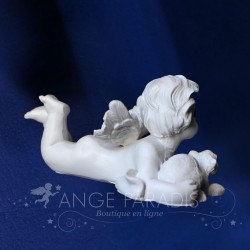 Gato ángel miniatura