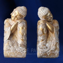 STOCK DE LIBROS DE BUDA x2