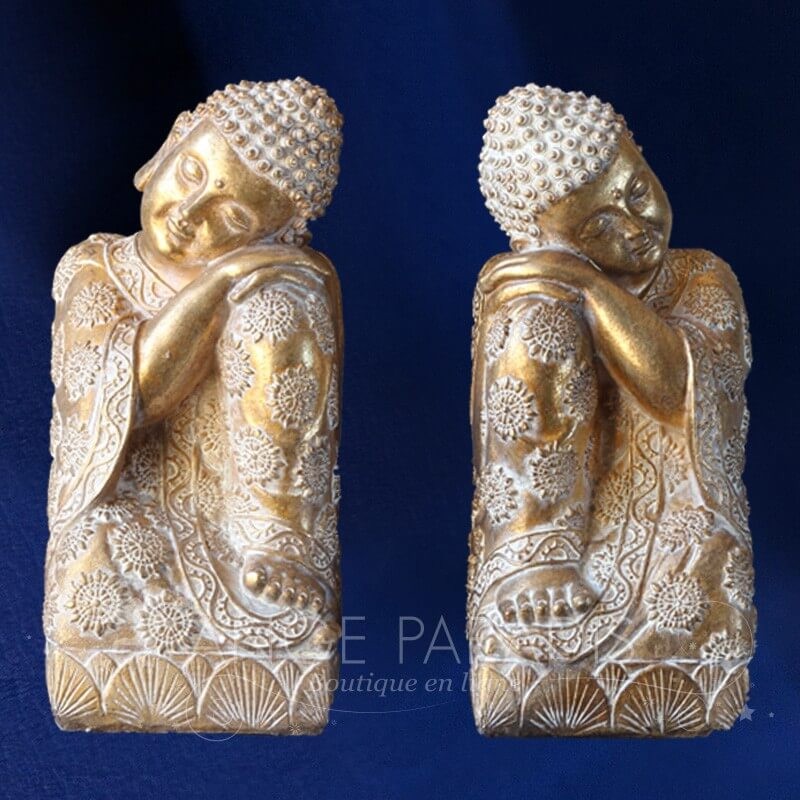 STOCK DE LIBROS DE BUDA x2