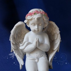 PROFECÍA DEL ÁNGEL