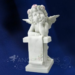 SITUACIÓN DE ANGE AVENIR