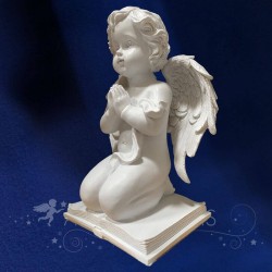 figura ÁNGEL LIBRO