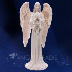 Oración del cambio de estadio